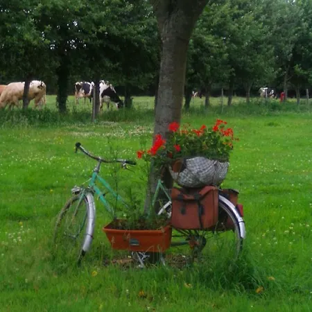 مكان تخييم Du Creulet *