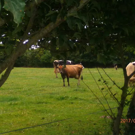 مكان تخييم Du Creulet Crouay