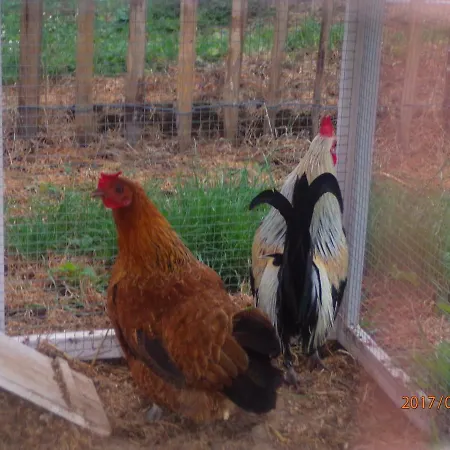 مكان تخييم Du Creulet