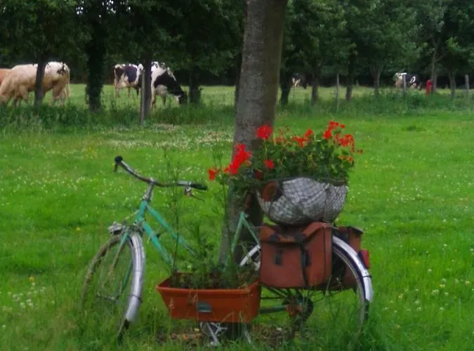 Campsite Du Creulet *